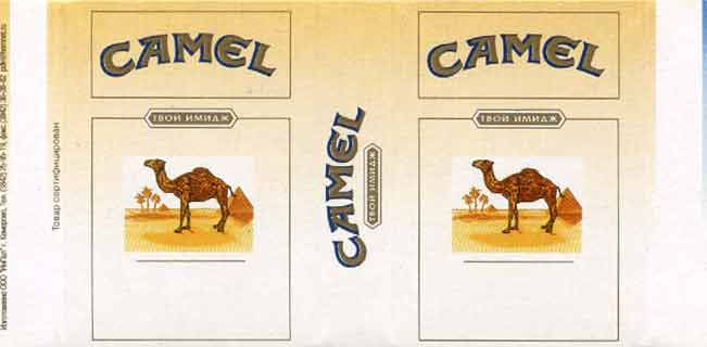Camel