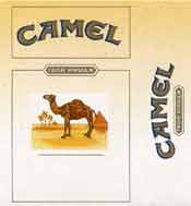 Camel