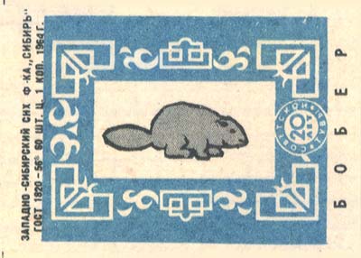 Beaver