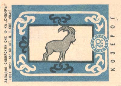 Ibex 