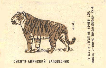 Tiger