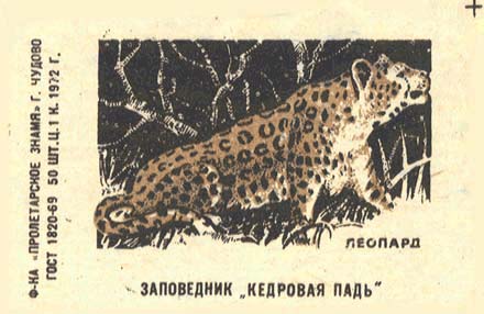 Leopard