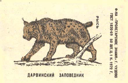 Linx