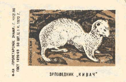 Ermine