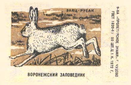 Hare