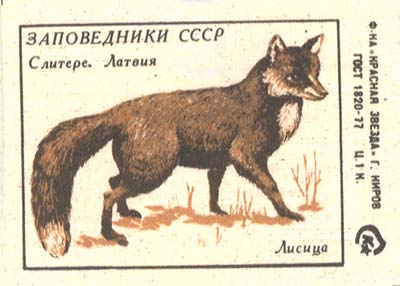 Fox
