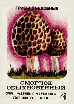 True morel