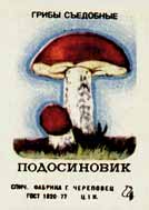 Orange-cap boletus