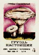 True milk mushroom