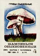 True mushroom