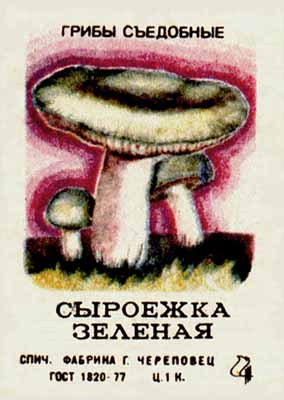 Green russula