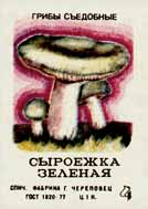 Green russula