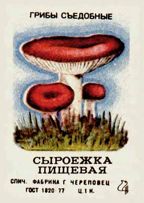 True russula