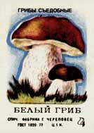 Cep