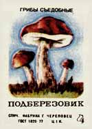 Brown cap boletus