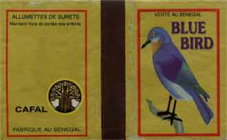 Blue bird