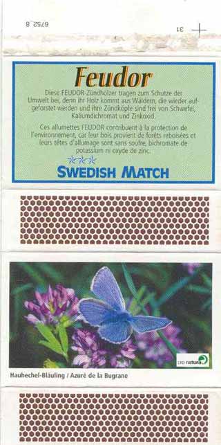 Common Blue (Polyommatus icarus)