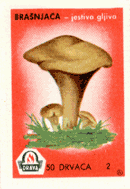 Brašnjača
